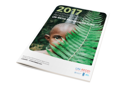 UN REDD Programme -  2017 Consolidated Annual Report